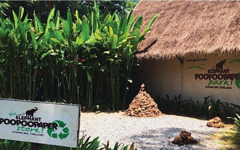 Elephant Poopoopaper Park Entry Ticket - Key Points