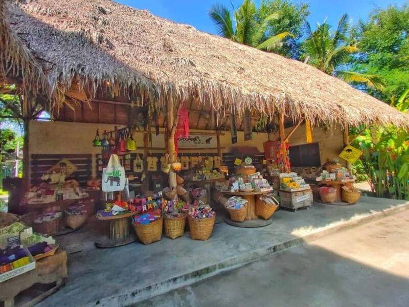 Elephant Poopoopaper Park Entry Ticket - What to Expect at Elephant POOPOOPAPER Park