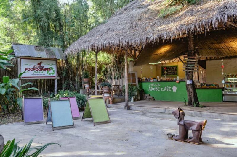 Elephant Poopoopaper Park Entry Ticket - Authentic Insights from Reviewers