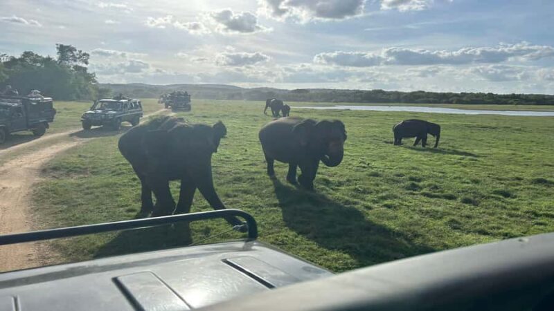 Elephant Safari Hurulu Eco park - The Authenticity and Value of This Tour