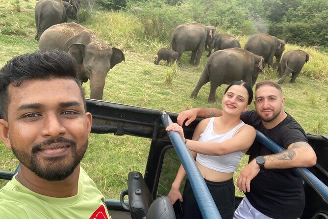Elephant Safari in Minneriya/Kaudulla & Eco National Park - Review of Elephant Safari in Minneriya/Kaudulla & Eco National Park