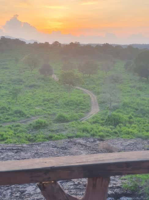 Elephant safari: Minneriya national park elephant safari - Key Points