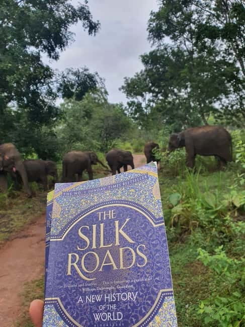 Elephant safari: Minneriya national park elephant safari - FAQ