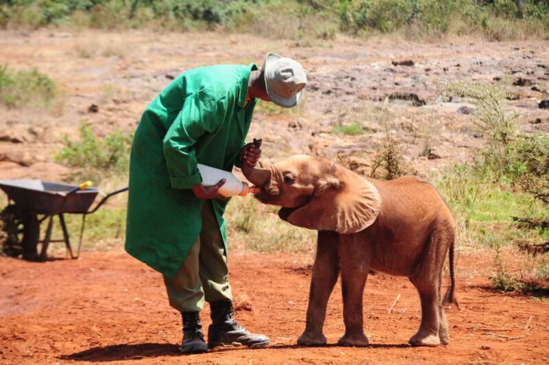 Elephant Sanctuary and Giraffe center - Key Points