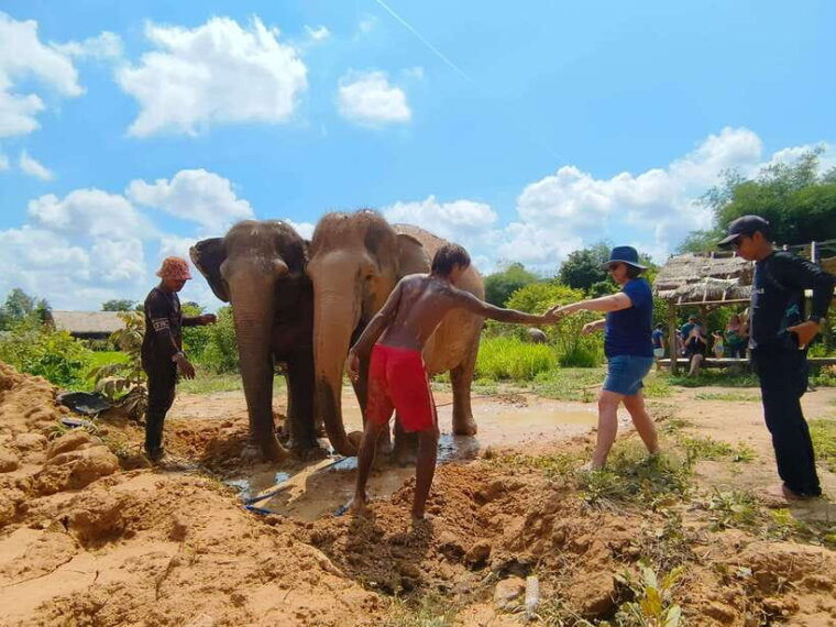 elephant-sanctuary-cambodia-pickup-and-drop-off-included