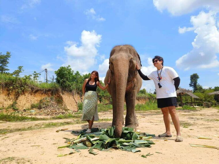elephant-sanctuary-cambodia-pickup-and-drop-off-included
