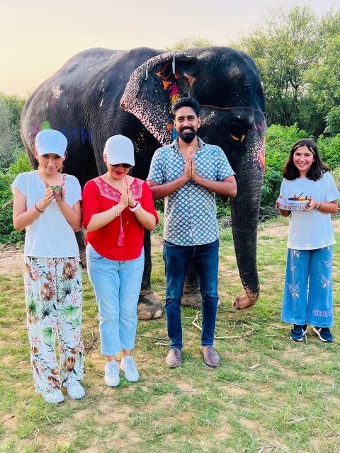Elephant Sanctuary for Best elephant experience in Jaipur - Why This Tour is Worth Considering