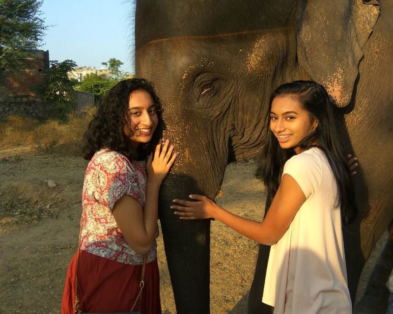 Elephant Sanctuary for Best elephant experience in Jaipur - Final Thoughts: The Value of a Compassionate Encounter