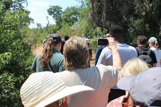Elephant Sanctuary Tour From Johannesburg - The Experience in detail