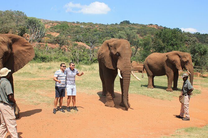 Elephant Sanctuary Tour From Johannesburg - Who is this tour for?