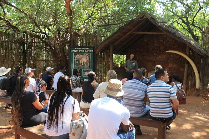 Elephant Sanctuary Tour From Johannesburg - Final thoughts