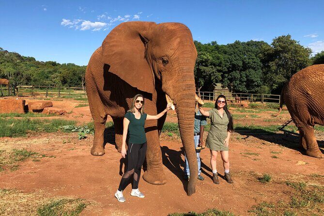Elephant Sanctuary Tour from Johannesburg - FAQ