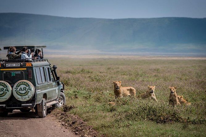 Elephant Special Serengeti & Ngorongoro Crater 5 Days / 4 Nights - Key Points