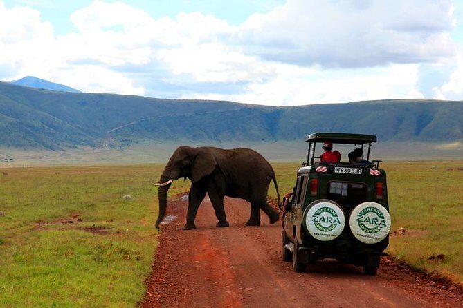 Elephant Special Serengeti & Ngorongoro Crater 5 Days / 4 Nights - Potential Considerations