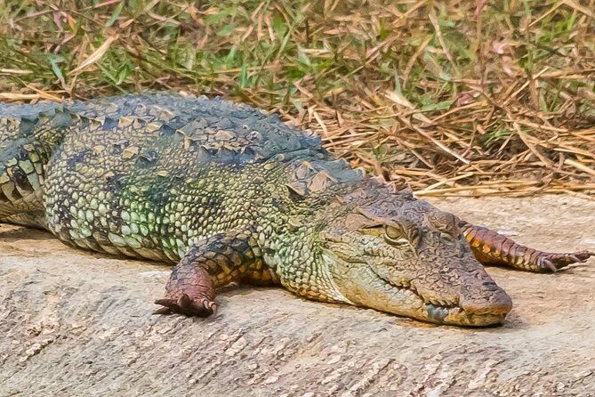 Elephant Transit Home Udawalawe with Jeep safari from Colombo - The Sum Up