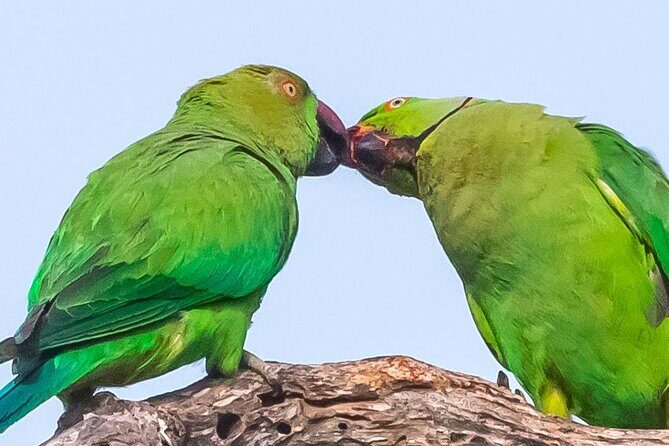 Elephant Transit Home Udawalawe with Jeep safari from Colombo - FAQ
