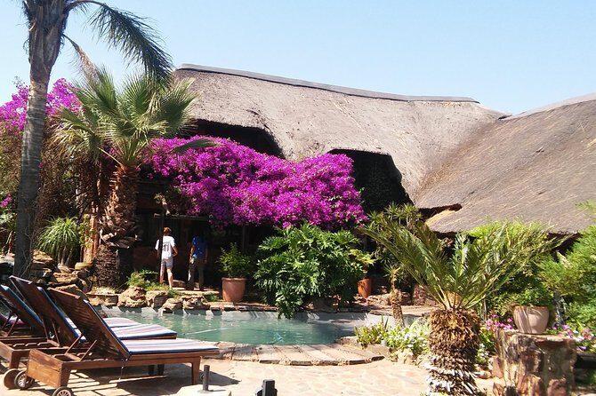 Elephant Walk Guided Half Day Tour from Johannesburg - Final Thoughts