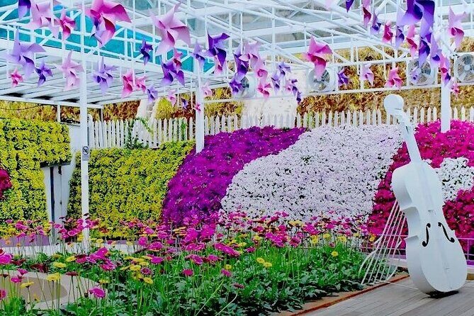 Elevate Your Senses: A Day of Wonders in Cameron Highlands! - Discovering Cameron Highlands: An Authentic Day Trip