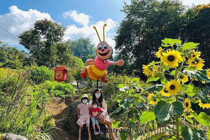 Elevate Your Senses: A Day of Wonders in Cameron Highlands! - Sweet Sights at Raju Hill Strawberry Farm