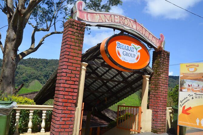 Elevate Your Senses: A Day of Wonders in Cameron Highlands! - Honey at Raju Hill Bee Farm