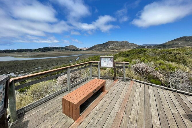elfin-forest-nature-tour-with-local-sweet-and-savory-tasting