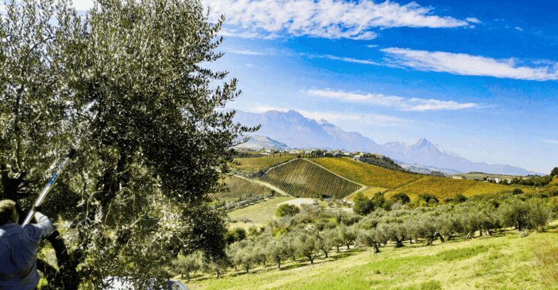 Elice (IT): "The house of snails" and beauty product - Testing Natural Beauty Products