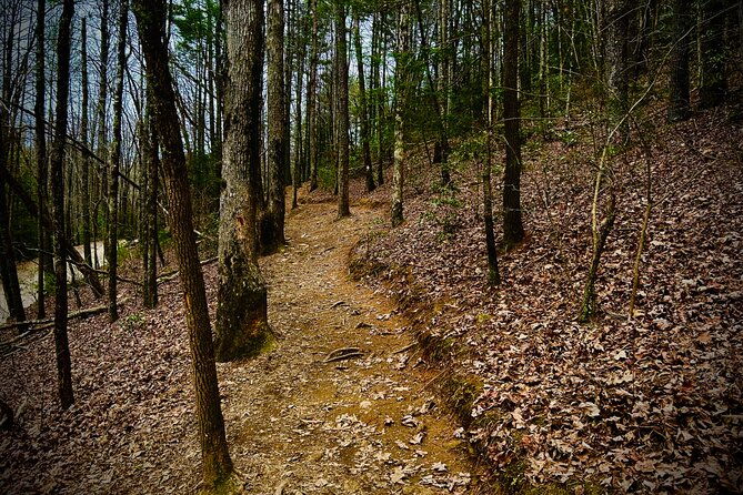 elijay-hike-w-waterfall-wine-tasting-private-tour-from-atl