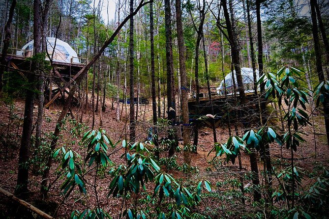 elijay-hike-w-waterfall-wine-tasting-private-tour-from-atl