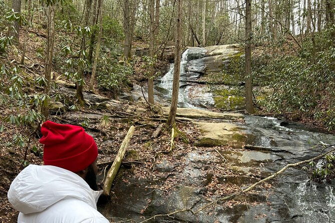 elijay-hike-w-waterfall-wine-tasting-private-tour-from-atl