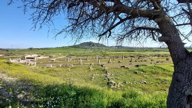 Elis: Tour of the Ancient Site & Museum by an Archaeologist - FAQ - Frequently Asked Questions