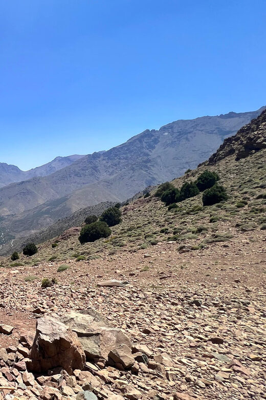 Elite Experience Atlas Mountains Hiking Day trip - Why This Tour Delivers Great Value