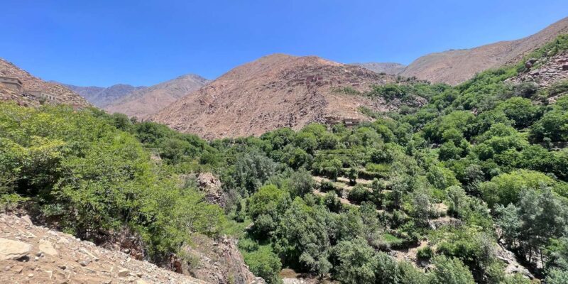 Elite Experience Atlas Mountains Hiking Day trip - The Sum Up