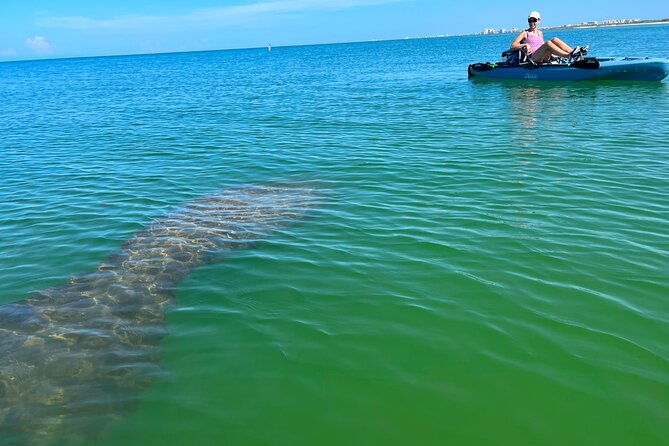 elite-hobie-kayak-experience-ultimate-premium-eco-adventure