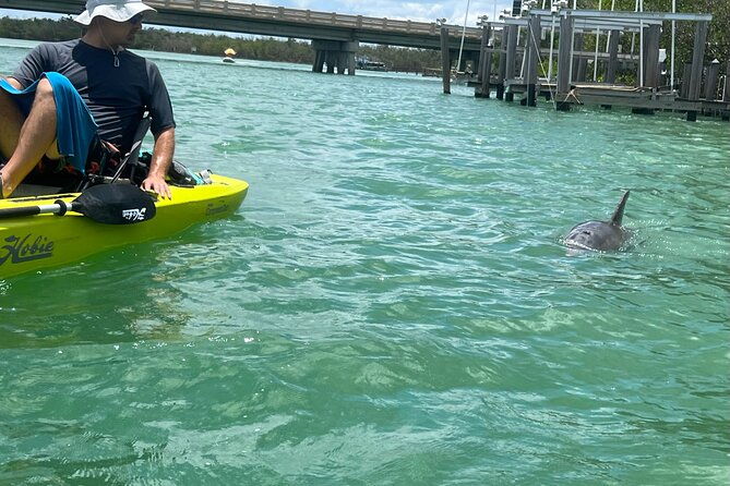 elite-hobie-kayak-experience-ultimate-premium-eco-adventure