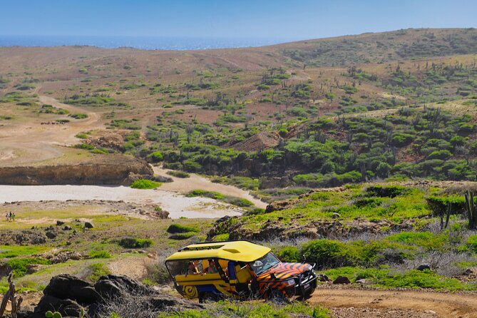 elite-jeep-safari-with-lunch-beer-and-open-bar