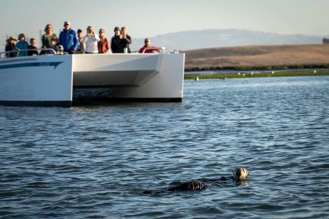 Elkhorn Slough Wildlife Tour - Practical Details & Value