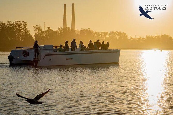 Elkhorn Slough Wildlife Tour - Who Will Love This Experience?