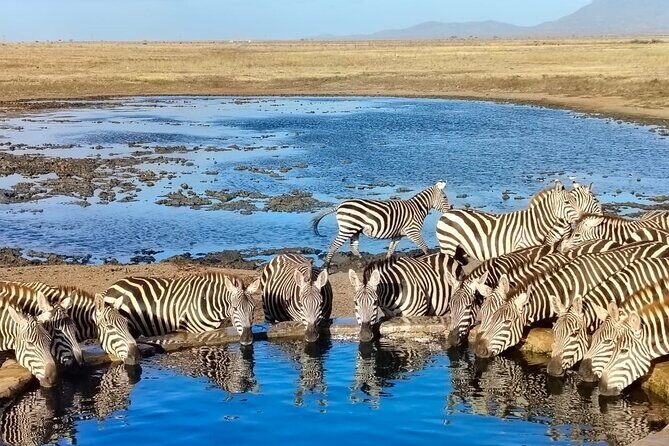 Elky Tours 2 Days Tsavo East Tour - Key Points