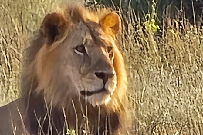 Elky Tours 2 Days Tsavo East Tour - About the Tour Experience