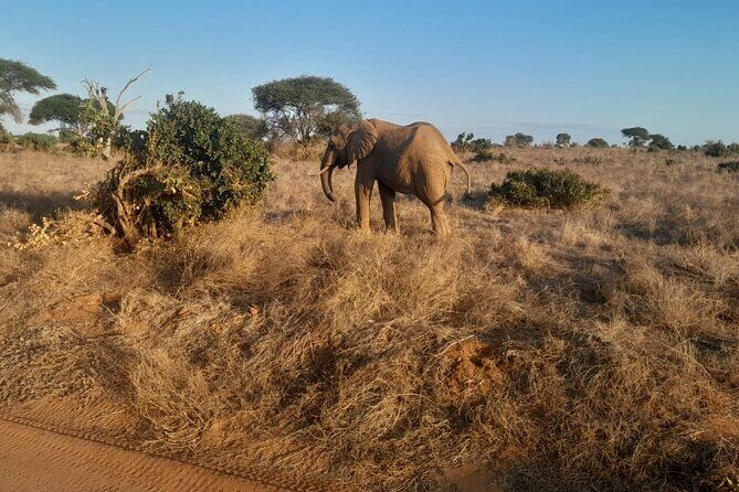 Elky Tours 2 Days Tsavo East Tour - The Sum Up