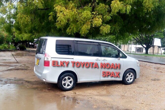 Elkydianibeachtaxis - Key Points