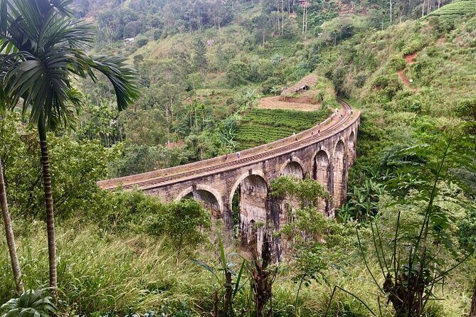 Ella 3 Icons Private Tour - Authentic Experiences and Practical Tips