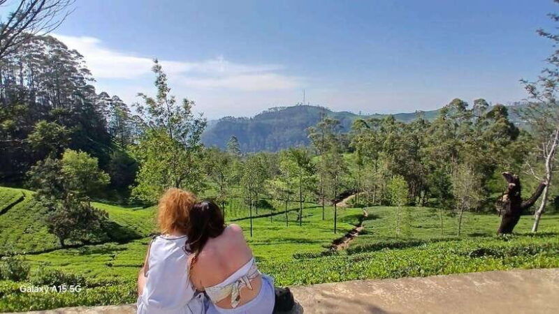 ella-9-arches-bridge-little-adams-peak-tea-factory