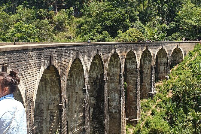 Ella and Yala National park Tour from Colombo - Key Points