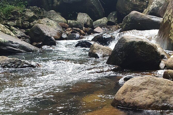 Ella and Yala National park Tour from Colombo - The Sum Up