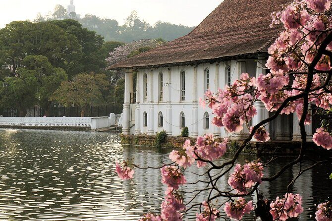 Ella and Yala National park Tour from Colombo - FAQ