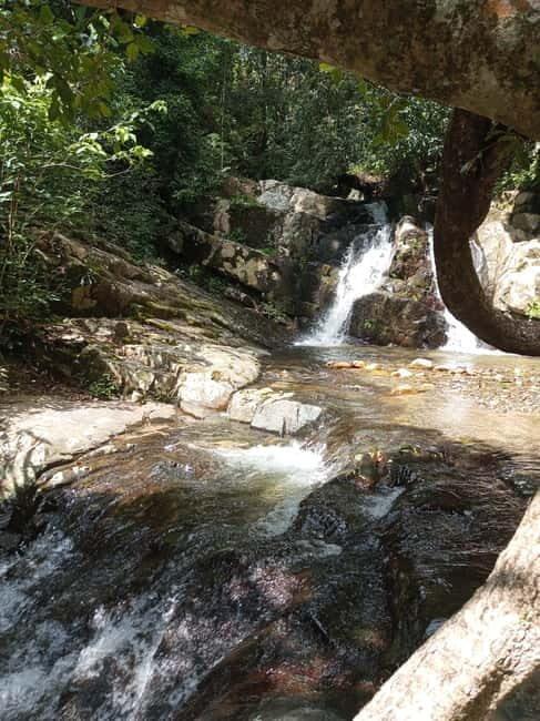 Ella: Authentic village tour with Sri Lankan lifestyle & way - What to Expect from the Ella Village Tour