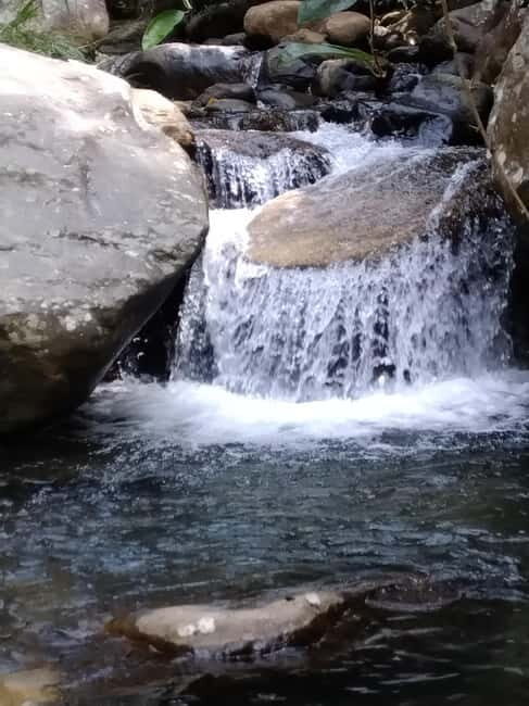 Ella: Cinnamon, Spice Garden & Waterfall tour - What’s the Value of This Tour?