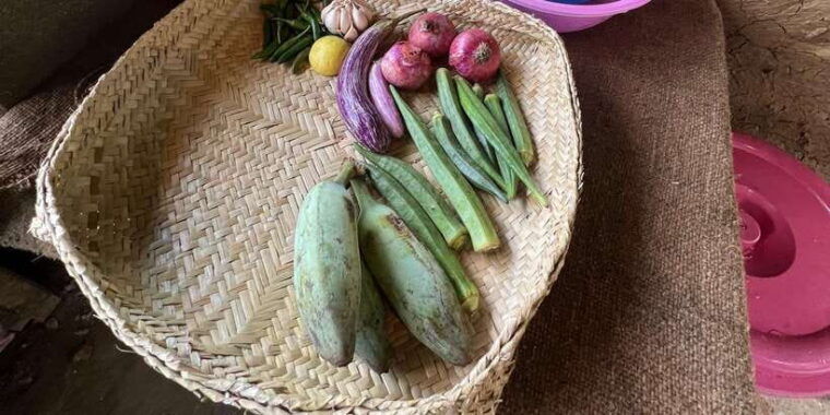 ella-cook-with-sadamali