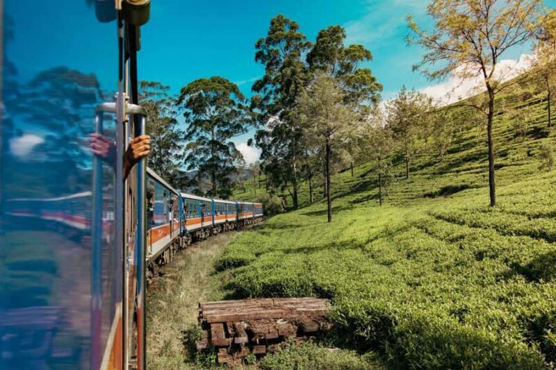Ella: Curated Day Tour with Scenic Train Journey from Kandy - Lunch and Free Time in Ella